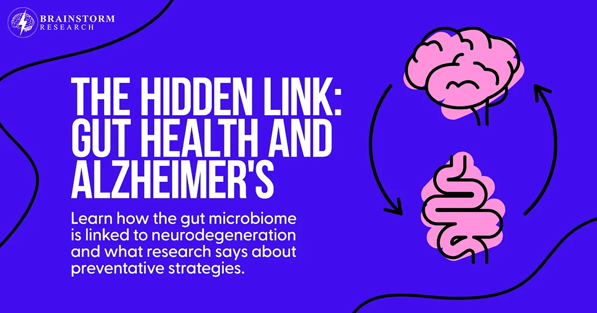 The Hidden Link: Gut Health and Alzheimer’s
